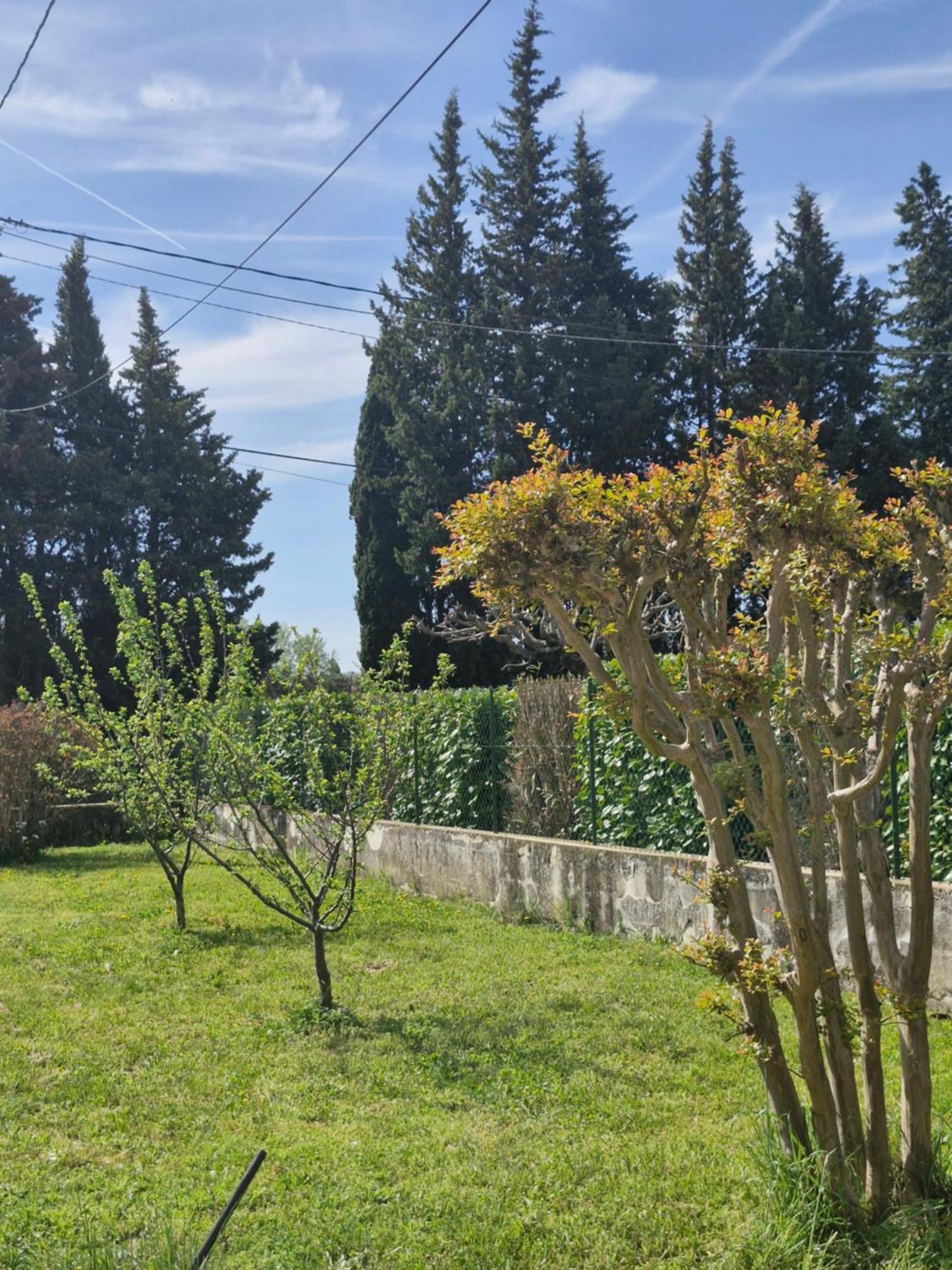 Maison Le Murier Aubignan Kültér fotó