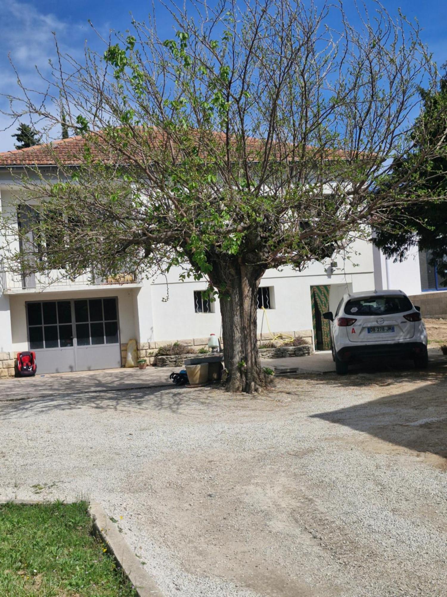 Maison Le Murier Aubignan Kültér fotó